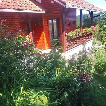 Guest House Little Heaven-3